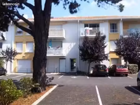 studio 1 pièce 30 m²