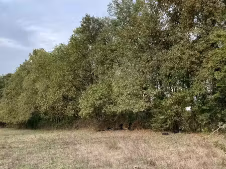 terrain agricole
