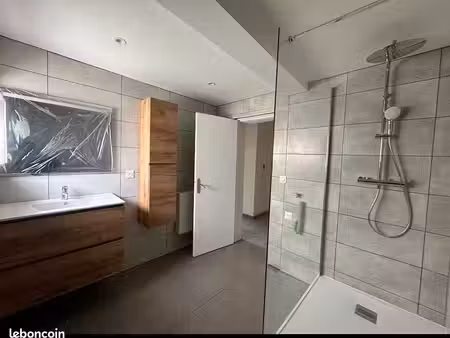 magnifique appartement refait à neuf