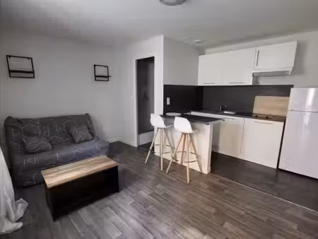 meublé 1 pièce 20 m²
