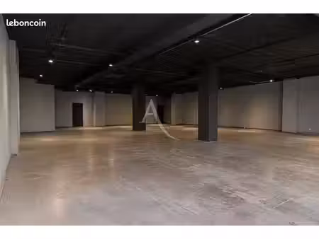 local 250 m² toulouse