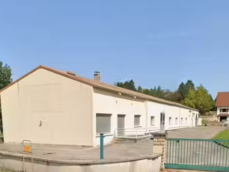 local commercial renove