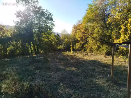 terrain pour pâturage