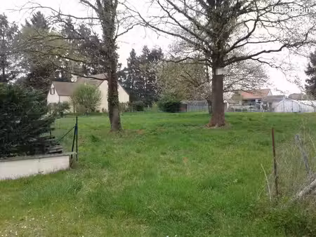terrain constructible