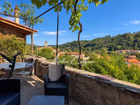 ensemble de deux maisons - 200 m² - 3 chambres - terrasse vue canigou - jardin arboré