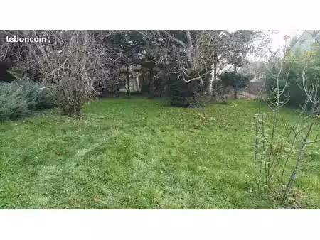 terrain viabilisé