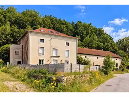 propriété maison à vendre 8 pièces à epinal (88) avec dependances sur 6262 m2 de terrain