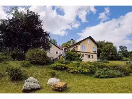 domaine authentique au coeur de la nature à bogeve - 800 m2 - 1550000 €