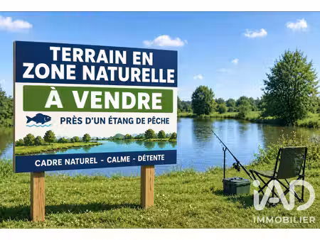 terrain à saint benoit sur loire (45730)