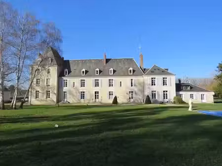 vente château 0 pièces 930 m² à valençay (36600)  1 390 000 €