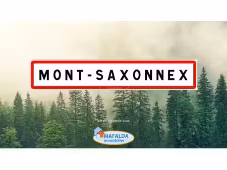 achat terrain 9 013m² mont saxonnex 74130