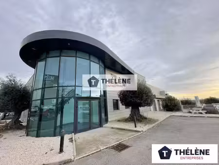 location local professionnel 100m² montpellier 34000