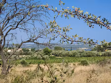 terrain agricole de 1.23 hectares !