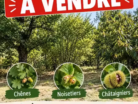 vente terrain à yvetot (76190)  12 000 €