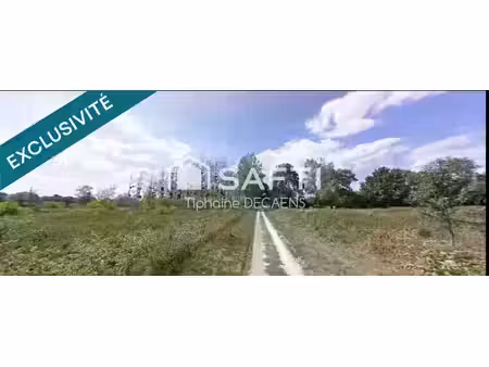 vente terrain 13641 m² à beaumont-en-veron (37420)  17 000 €