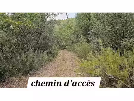 vente terrain 11136 m² à sillans-la-cascade (83690)  8 000 €