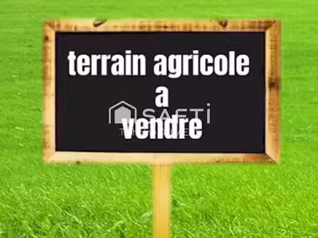 vente terrain 16200 m² à la tour-saint-gelin (37120)  23 000 €