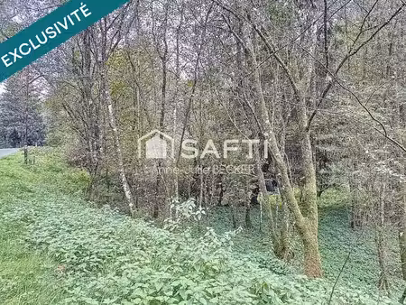 vente terrain 20774 m² à siersthal (57410)  35 000 €