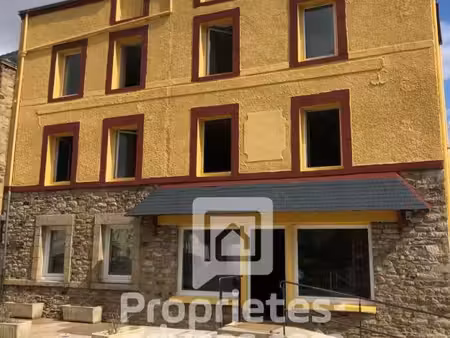 immeuble de 1882 9 pièce(s) 236 m2 centre ville saint dolay