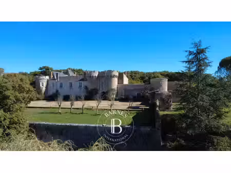 à vendre  château poitiers 12 chambres - 679 m² - 1 480 000 €