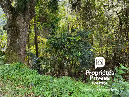 achat terrain 4 000m² pointe noire 97116