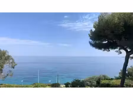 cannes basse californie villa t3 face mer vue panoramique