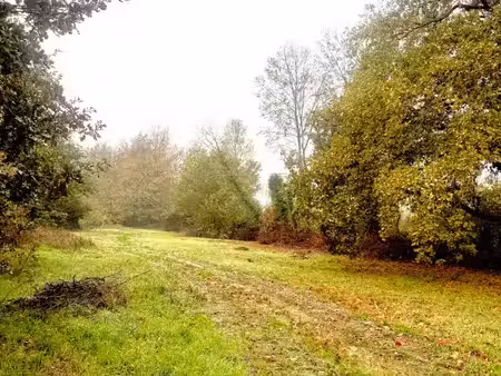 terrain à bâtir à sablons (33910)