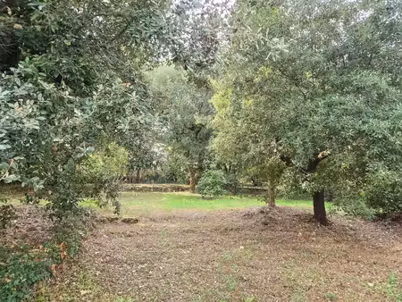 terrain à vendre