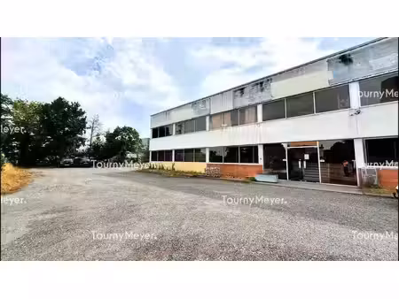 vente local d’activités 2640m²