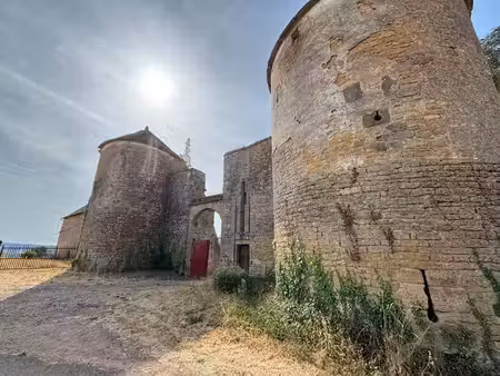 château fort du xiie siècle avec gîte indépendant aménagé