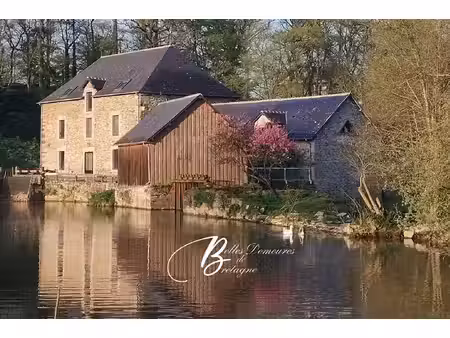 a vendre ancien moulin et dépendance dans un cadre nature châteaubourg