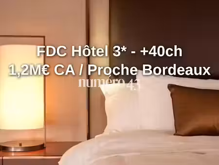 vente locaux professionnels à bordeaux (33000)  1 908 000 €