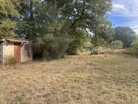 terrain 1500 m2 et petit cabanon