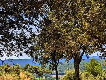 moissac bellevue  beau terrain dominant au calme.