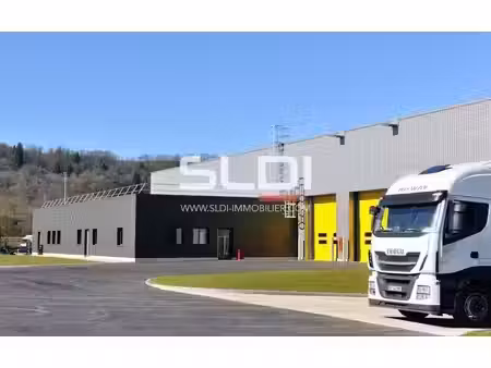 vente local d’activités corbas 69960 3600m² à 7600m²