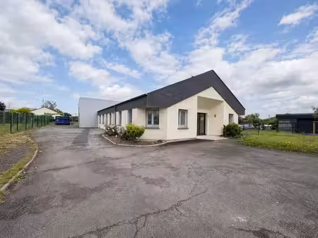 vente local d’activités la chapelle saint mesmin 45380 400m²
