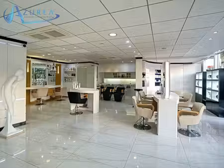 vente commerce nice 06000 313m²