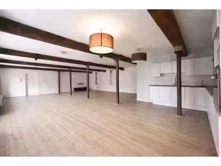 superbe loft de 162m² - electricite conforme -dv pvc - peb c