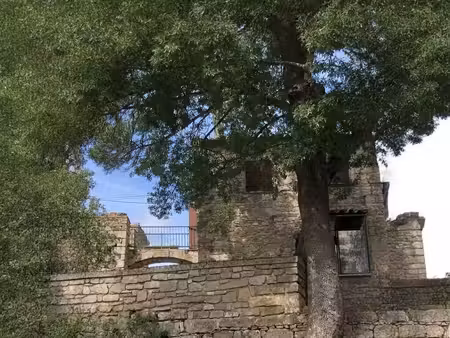 maison en pierre