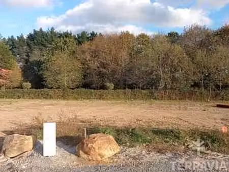 vente terrain à aizenay (85190) : à vendre / 319m² aizenay