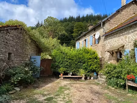 belle propriété en pierre  située au calme  en fin de hameau - le tout sur 4.4 ha de...