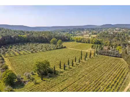 vignoble de caractère à vendre dans le var  une signature reconnue en provence.