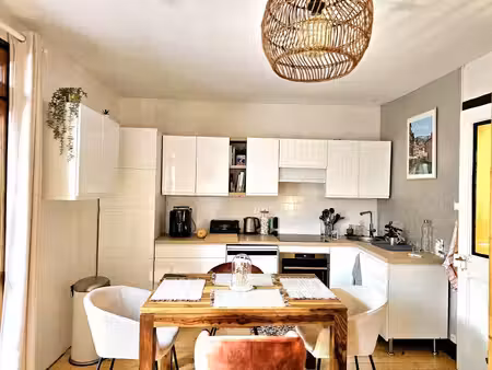 lot de 2 appartements t2+t3 avec caves et grande terrasse