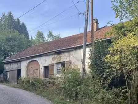 moussey - ferme de 1880 à rénover - proche de l'alsace
