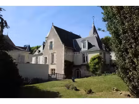 touraine  au cœur d'une ville d'art et d'histoire fameuse  entre forêt domaniale ...