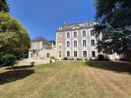 grande demeure du xviiie siècle avec gîtes au coeur de chinon (v