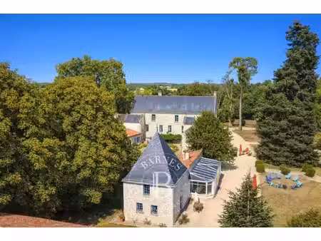 entre loudun et chinon - château xviie - parc de 3 5 hectares avec piscine