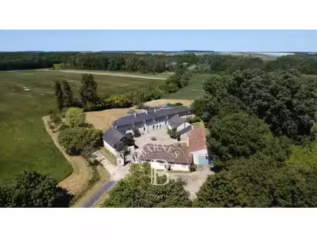 entre tours et poitiers - manoir et son domaine de 40 hectares