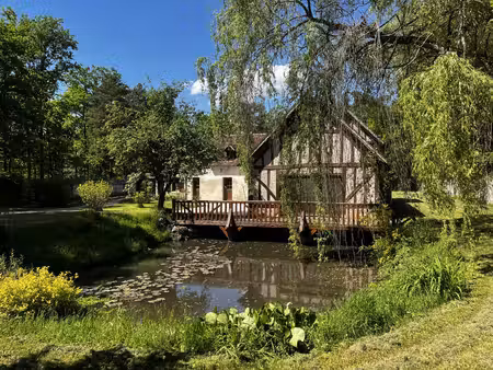 propriété de 29ha de bois avec étang