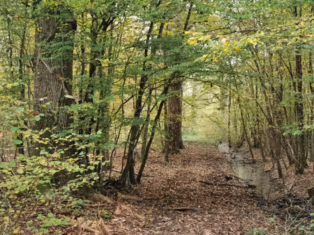 territoire de chasse sur 46ha